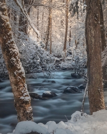 A snowy riverside in the Great Smoky Mountains National Park 