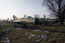 A squadron of Mig s at the edge of an abandoned airfield 