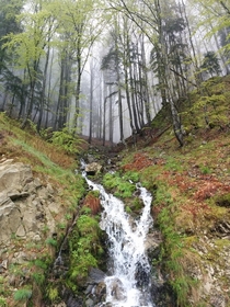 A stream in Rhodope Mountains Bulgaria - Spring is here  by Evgeni Kolev