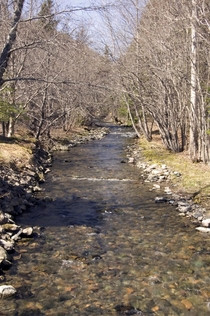 A stream near Glenora in Glenville Cape Breton Nova Scotia 