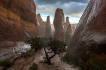 A sudden storm hits a canyon in Arches National Park Utah  Photo by Patrik Oberlin