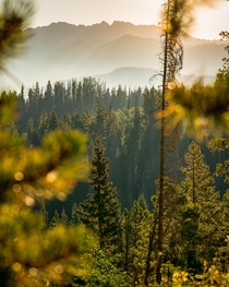 A summer sunrise to warm up your week Vail Vail Forest Roads Colorado OC x