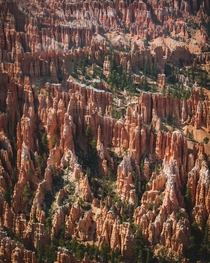 A sunny afternoon in Bryce Canyon Utah USA 