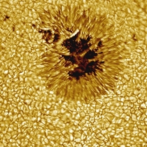 A sunspot as seen by the Vacuum Tower Telescope Credit TRimmele NSO MHanna NOAOAURANSF