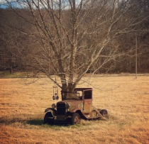A tree grows through an abandoned car in rural Benton County Arkansas image via a friend 