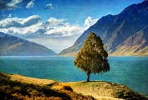 A tree on a quiet sunny day at Lake Hawea New Zealand 