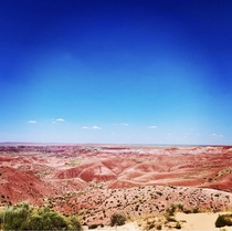 A trip to The Painted Desert  x