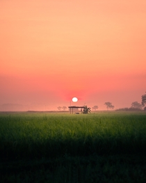 A typical summer morning of rural India