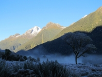 A very frosty start to the day Hollyford Track NZ 