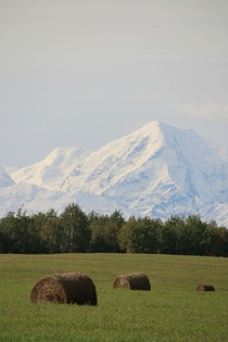 A View of the Alaska Range from Delta Junction 
