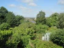 A view of the lush foliage from my bedroom Complete with local church  England Isle of Wight