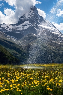 A water fountain in front of the majestic mountain Matterhorn making the flowers grow and shine bright OC x