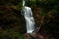 A waterfall amongst the California redwoods OC x