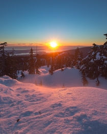 A windy evening on mount Seymour in Vancouver BC 