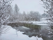 A Winter Scene in Juneau AK 