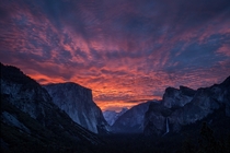 A Yosemite Morning 