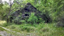 Abandoned barn in Alabama 