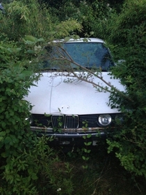 Abandoned BMW  series I found will wondering around the woods in Denmark 