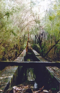 Abandoned bridge in abandoned logging town SW Western Aust