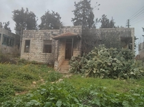 Abandoned British mandate-era house Safed Israel x 