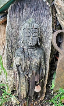 Abandoned Buddha
