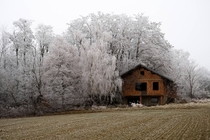 Abandoned building in winter frost 