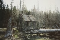 Abandoned cabin in Kings Beach Lake Tahoe California 