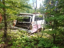 Abandoned car I found in the woods near the boarder of Minnesota and Canada