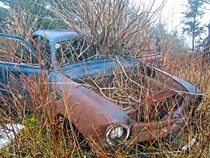 Abandoned car in Nova Scotia 