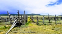 Abandoned cattle corral in the mountains of Colorado