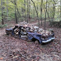 Abandoned Chevy Corvair full of rocks Chapel Hill NC 