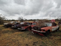Abandoned Classic Mustangs Refugio Texas