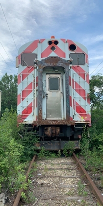 Abandoned commuter train my friends and I found last summer 