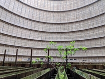 Abandoned cooling tower of a powerplant in Belgium