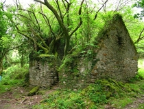 Abandoned cottage along the Kerry Way in Ireland 