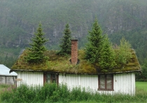 Abandoned cottage in Norway 