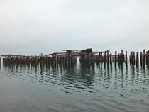 Abandoned dock amp pilings on the Tacoma waterfront