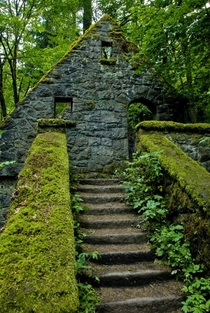 Abandoned dwelling in the deep forest by Wayne Grazio  unknown location