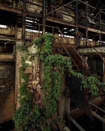 Abandoned Factory in the Midwest 