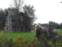 Abandoned farm house rural Quebec x 