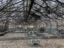 Abandoned greenhouse Found when I was out on a hike today