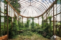 Abandoned greenhouse in Belgium 