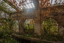 Abandoned greenhouse in Poland 
