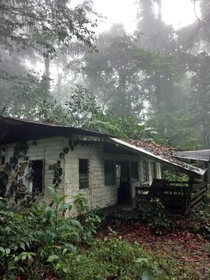 Abandoned guesthouse in Suriname jungle