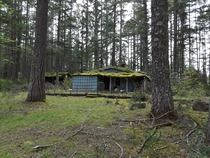 Abandoned house in the woods PNW