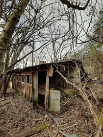 Abandoned in  following the death of the farmer who owned the property this dairy barn is slowly disappearing into the surrounding woods It is one of the few surviving remnants of a large scale dairy farm in the Little Tennessee River Valley