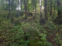 Abandoned jewish cementery in Bdzin Poland 