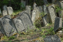 Abandoned Jewish Cemetery dating back to  outside the city of Jzefw in Poland The local jewish inhabitants were gunned down in a nearby forest by the nazis in  - Teatrnnpl