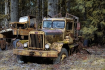 Abandoned logging trucks from back in the day in Darrington Wa 