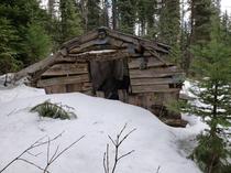 Abandoned miners cabin in the snow on Cornish Mountain Barkerville BC  OC